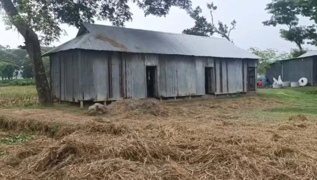 হয় শিক্ষার্থী নেই, নয় শিক্ষক অনুপস্থিত—গোয়ালঘরে পরিণত বাওয়া স্বতন্ত্র এবতেদায়ী মাদরাসা