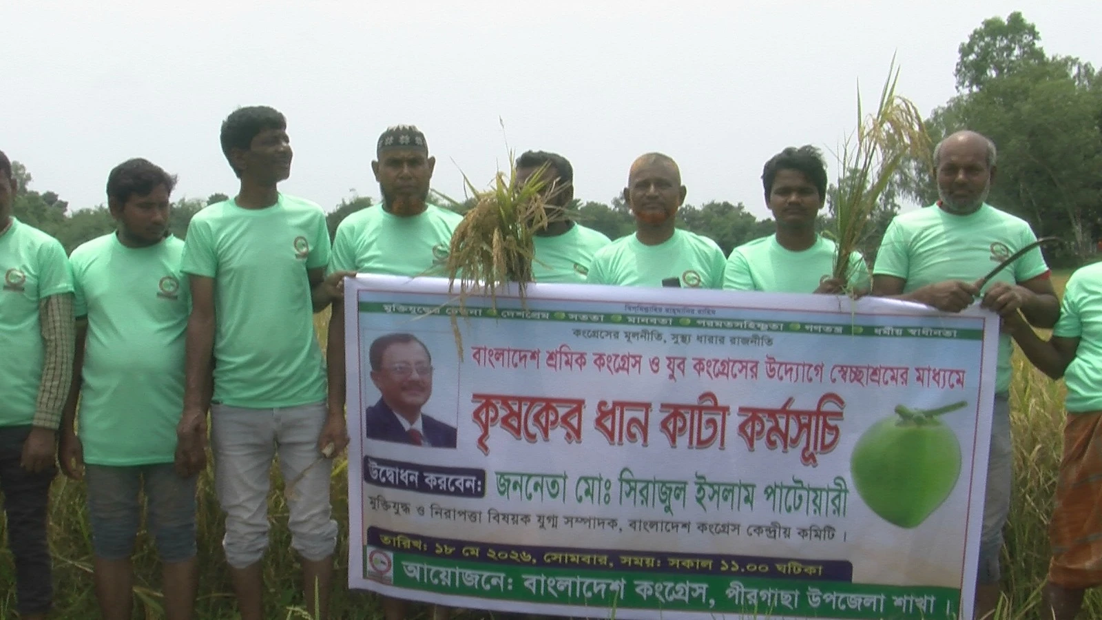 শ্রমিক সংকটে কৃষকদের পাশে বাংলাদেশ কংগ্রেস, কাদা-পানিতে নেমে ধান কাটলেন নেতাকর্মীরা