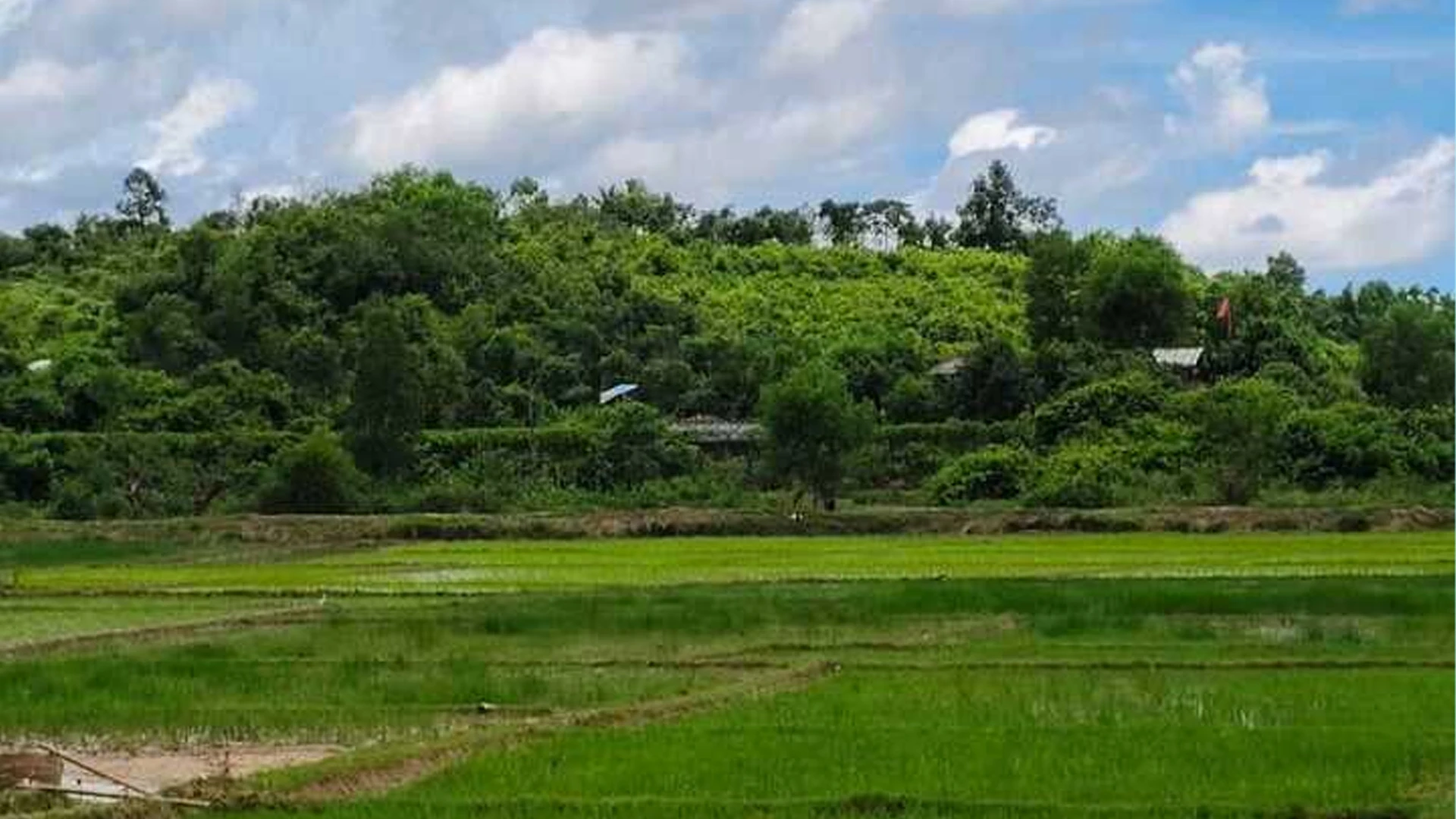বান্দরবান সীমান্তে মাইন বিস্ফোরণে নিহত ৩