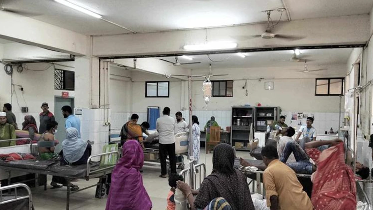 কোরবানির সময় আহত হয়ে হাসপাতালে দুই শতাধিক