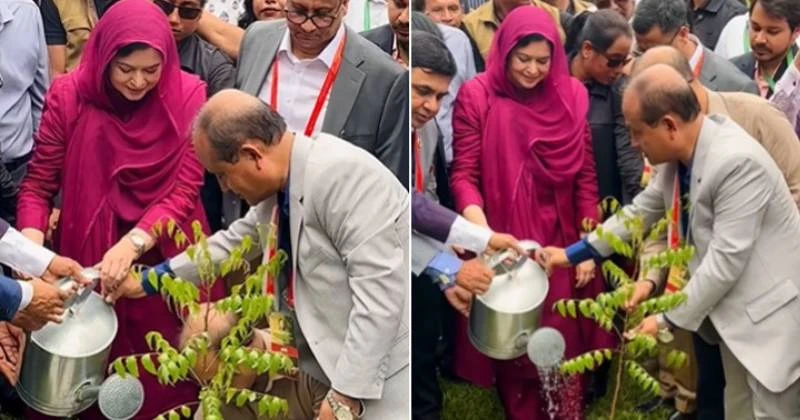 ঢাবিতে বৃক্ষরোপণ কর্মসূচির উদ্বোধন জুবাইদা রহমানের