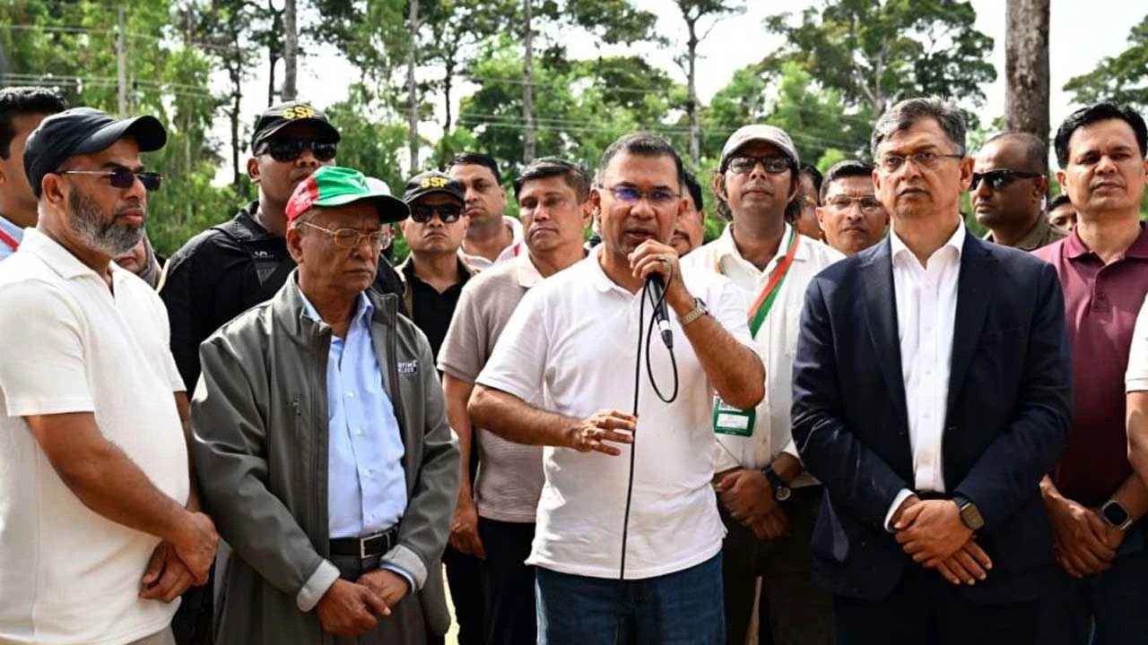 বুক ভরে শ্বাস নিতে আসুন একটি করে গাছ লাগাই: প্রধানমন্ত্রী