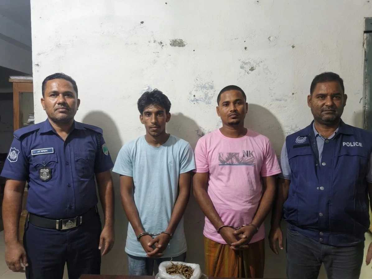 মনপুরায় গাঁজাসহ দুই মাদক কারবারি আটক