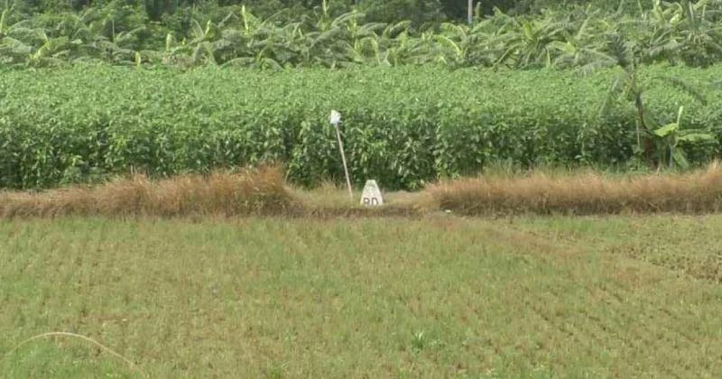 সীমান্তে ১১ জনকে পুশ ইনের চেষ্টা, রুখে দিলো বিজিবি
