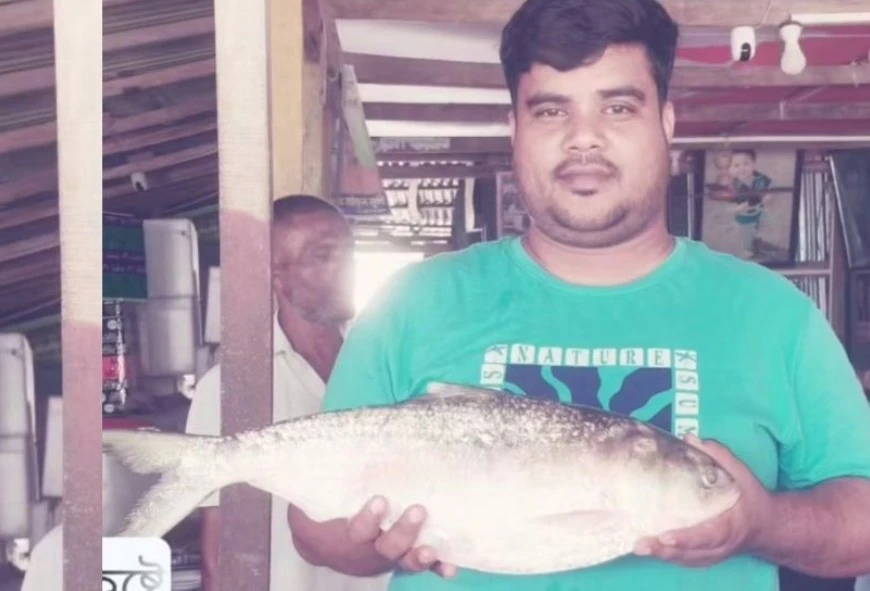 মনপুরায় জেলের জালে ‘রাজা ইলিশ’, বিক্রি ৯ হাজার টাকায়